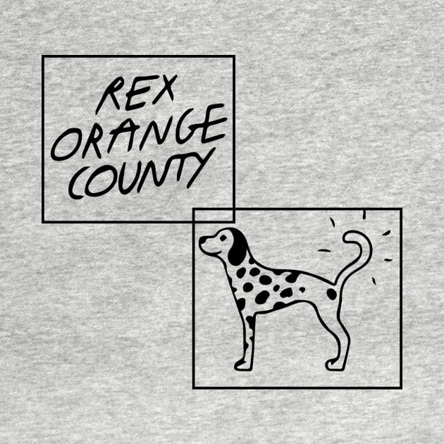 rex orange county who cares tour by Pop-clothes